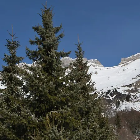 Le Flocon Des Aravis