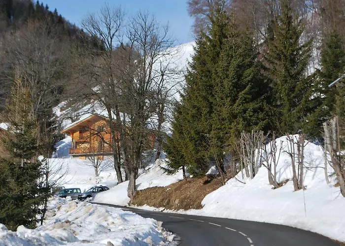 Le Flocon Des Aravis 木屋