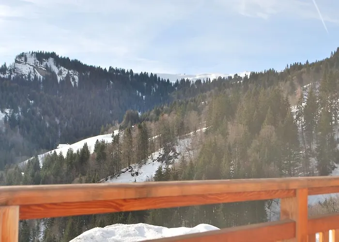 木屋 Le Flocon Des Aravis 拉格利塔兹