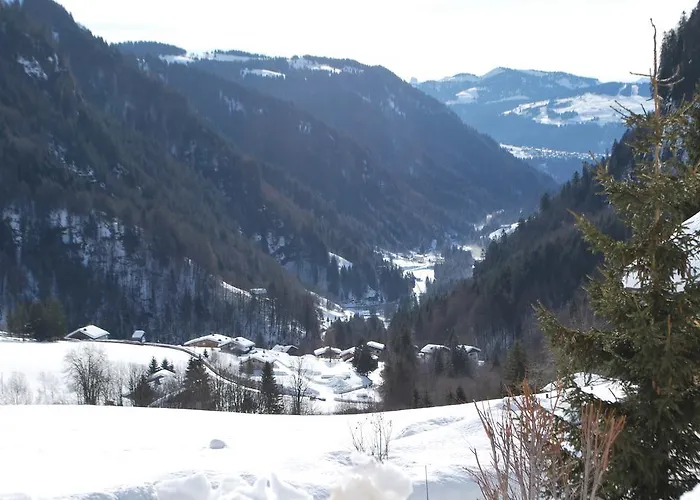 Le Flocon Des Aravis *
