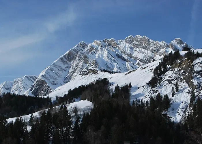 Le Flocon Des Aravis 木屋