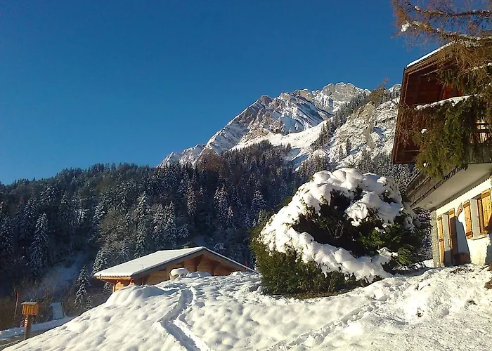 木屋 Le Flocon Des Aravis 拉格利塔兹