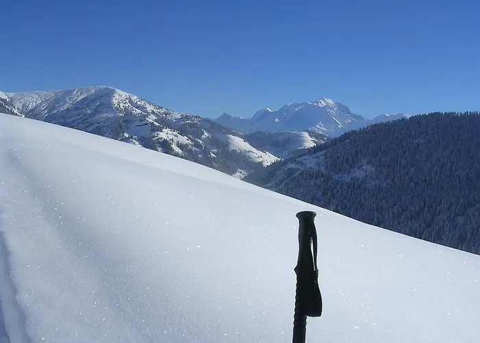 Le Flocon Des Aravis * 拉格利塔兹